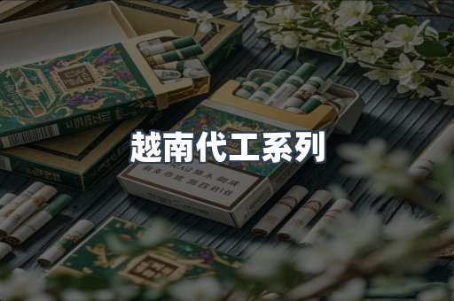 越南代工系列